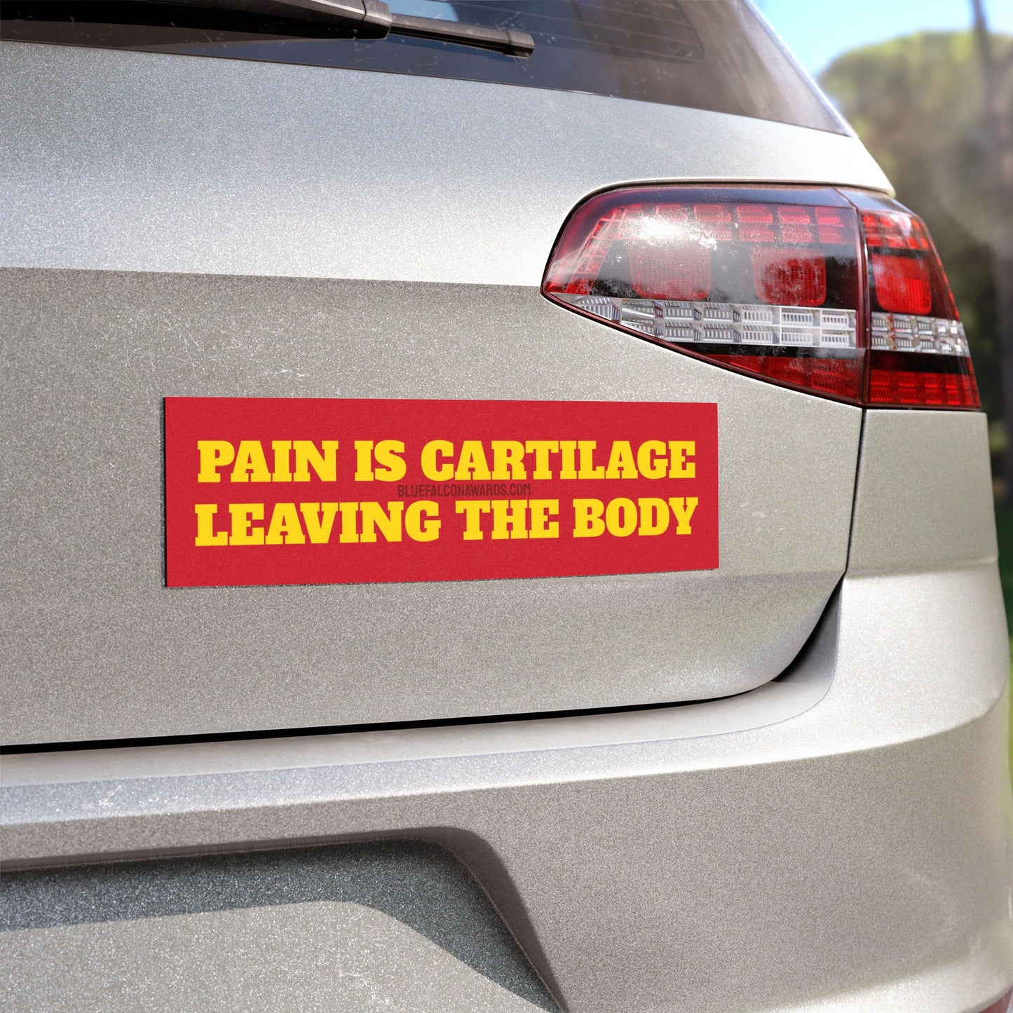 PAIN IS CARTILAGE LEAVING THE BODY Car Magnet