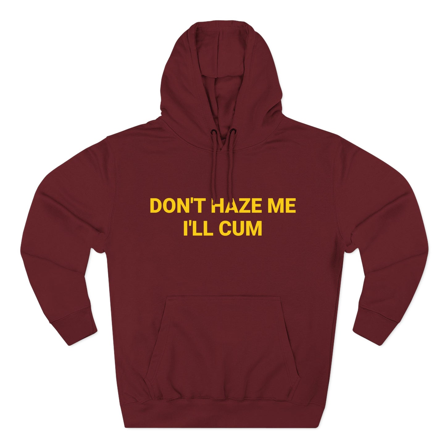 Don't Haze me I'll Cum Hoodie