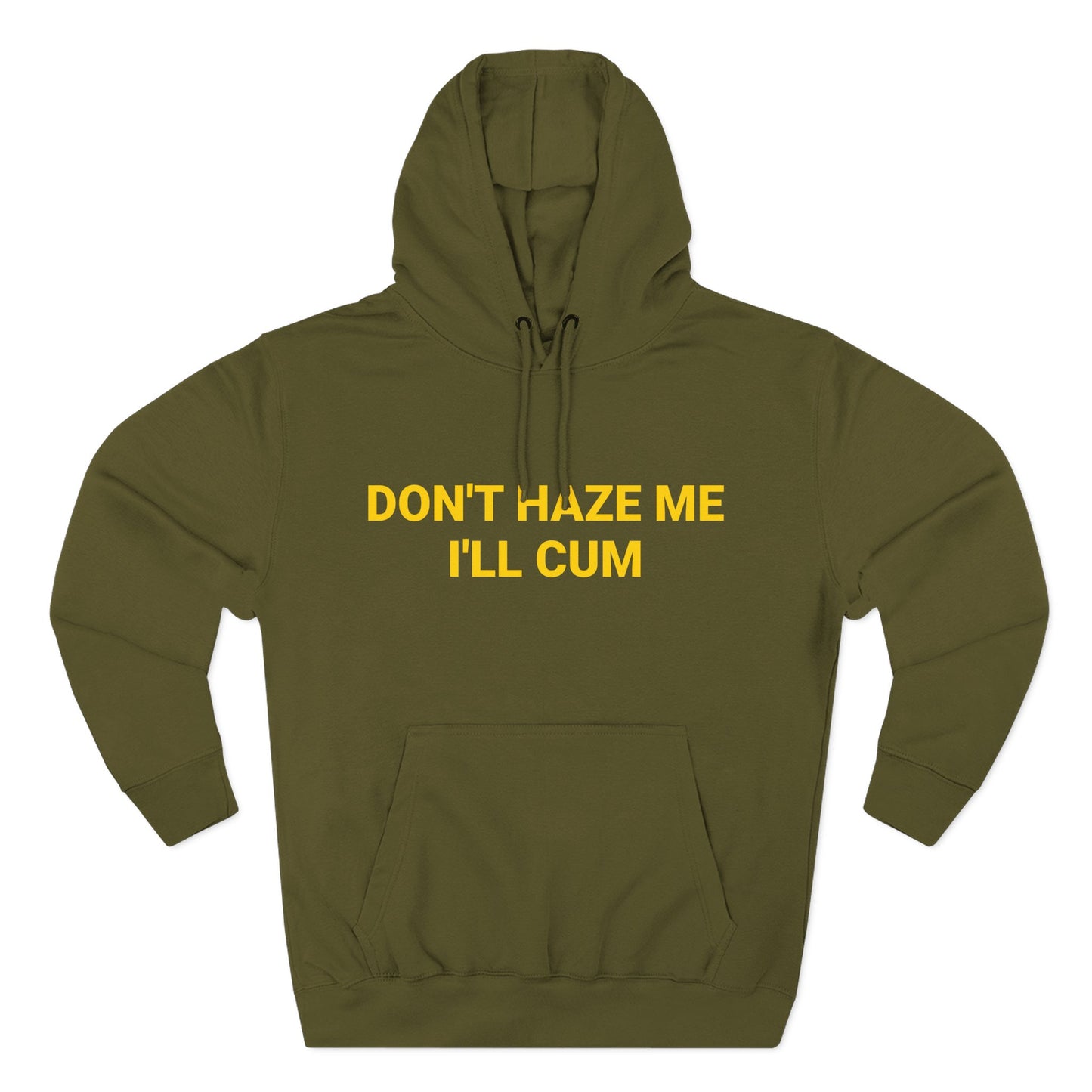 Don't Haze me I'll Cum Hoodie