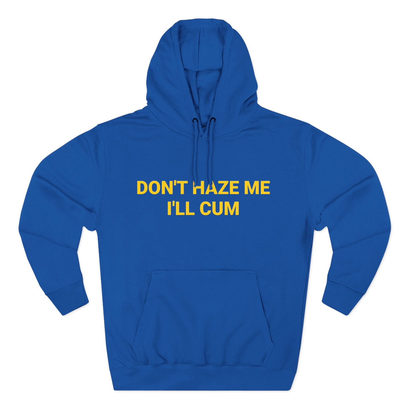 Don't Haze me I'll Cum Hoodie