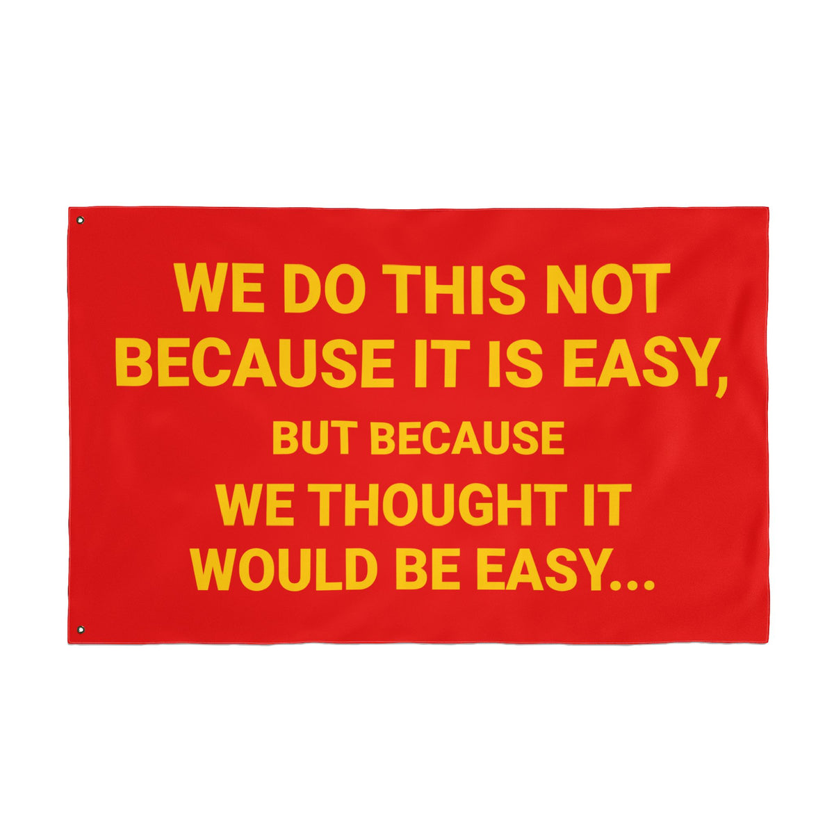 THOUGHT IT WAS EASY FLAG