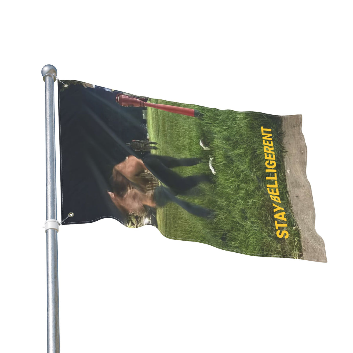 STAY BELLIGERENT FLAG