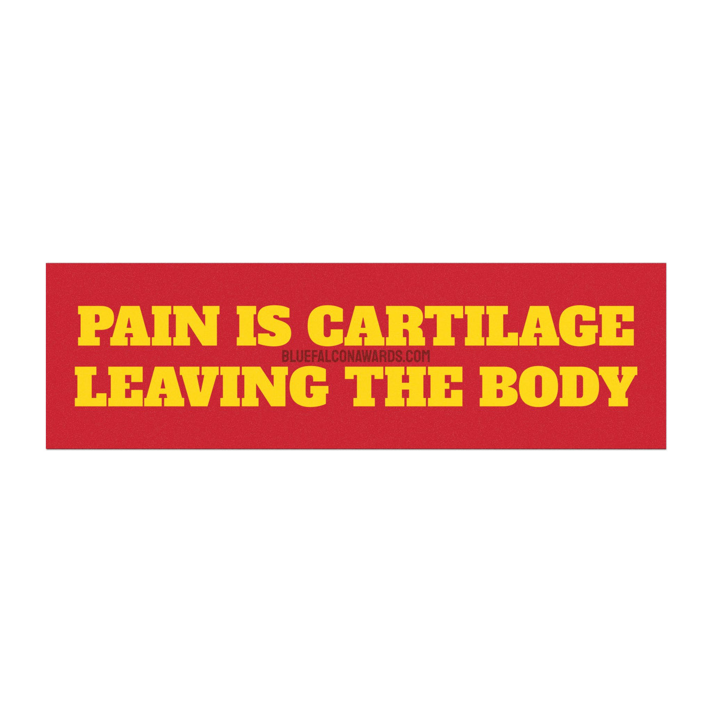 PAIN IS CARTILAGE LEAVING THE BODY Car Magnet