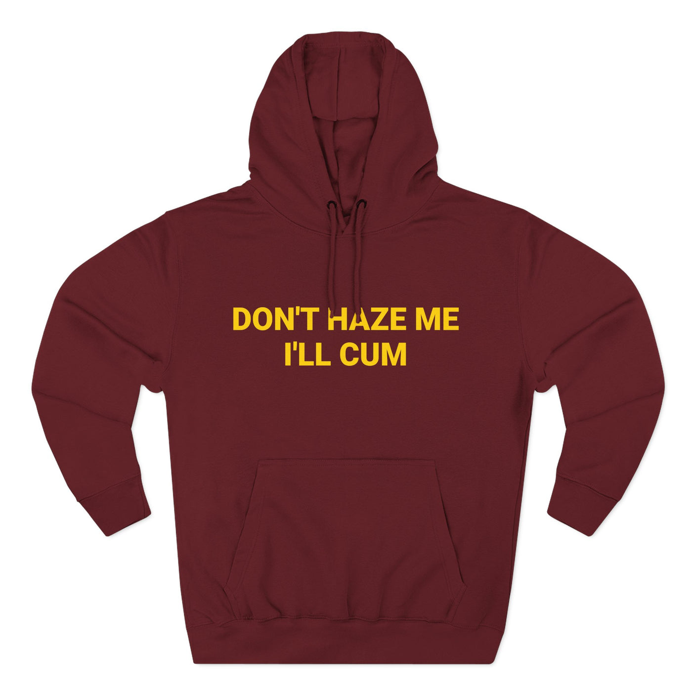 Don't Haze me I'll Cum Hoodie