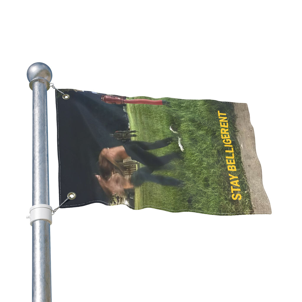 STAY BELLIGERENT FLAG