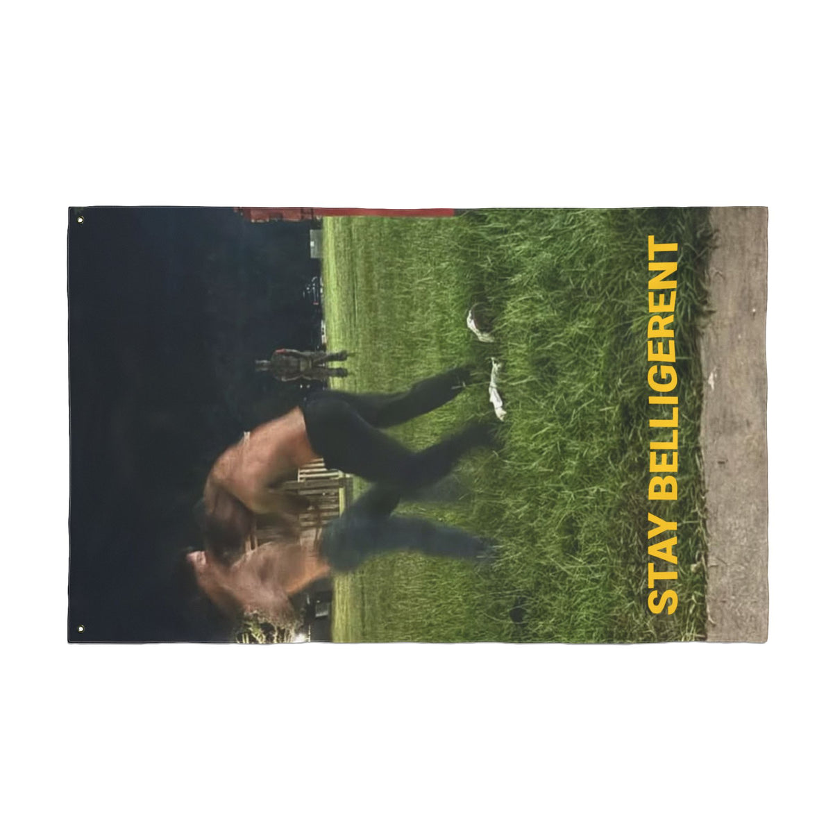 STAY BELLIGERENT FLAG
