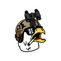TACTICAL EAGLE STICKER