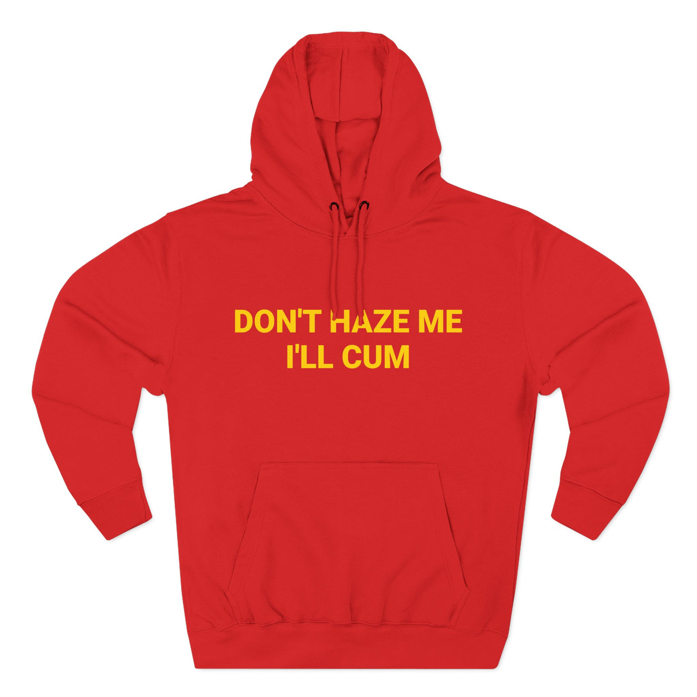 Don't Haze me I'll Cum Hoodie