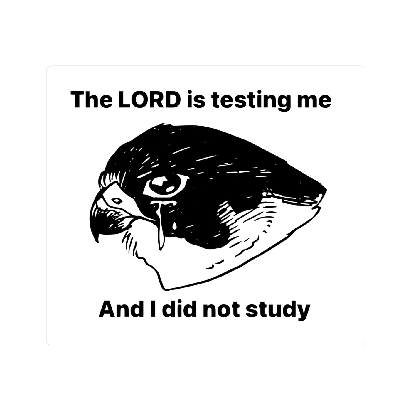 Lord is Testing Me STICKER