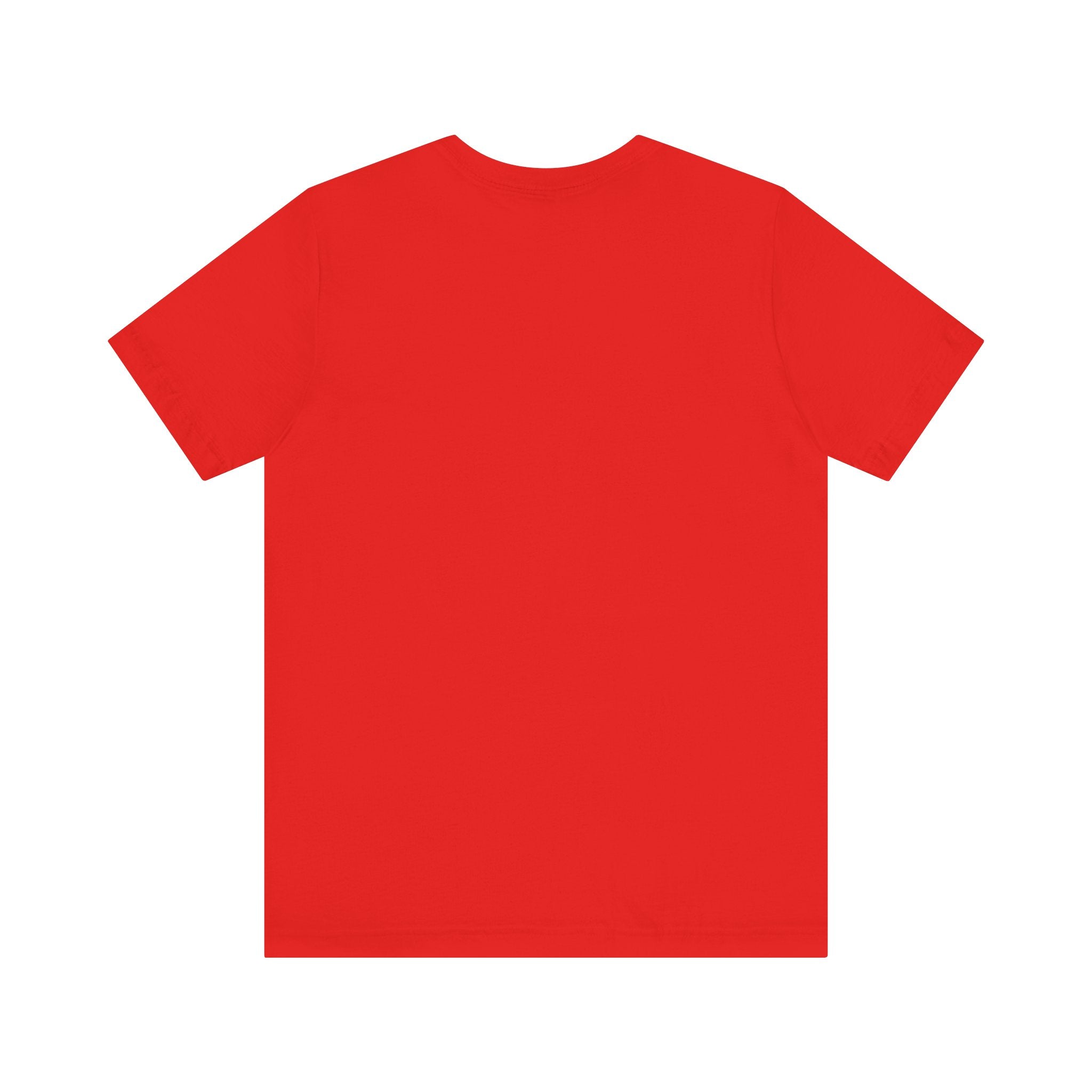 IBS (IRS PARODY) Tee