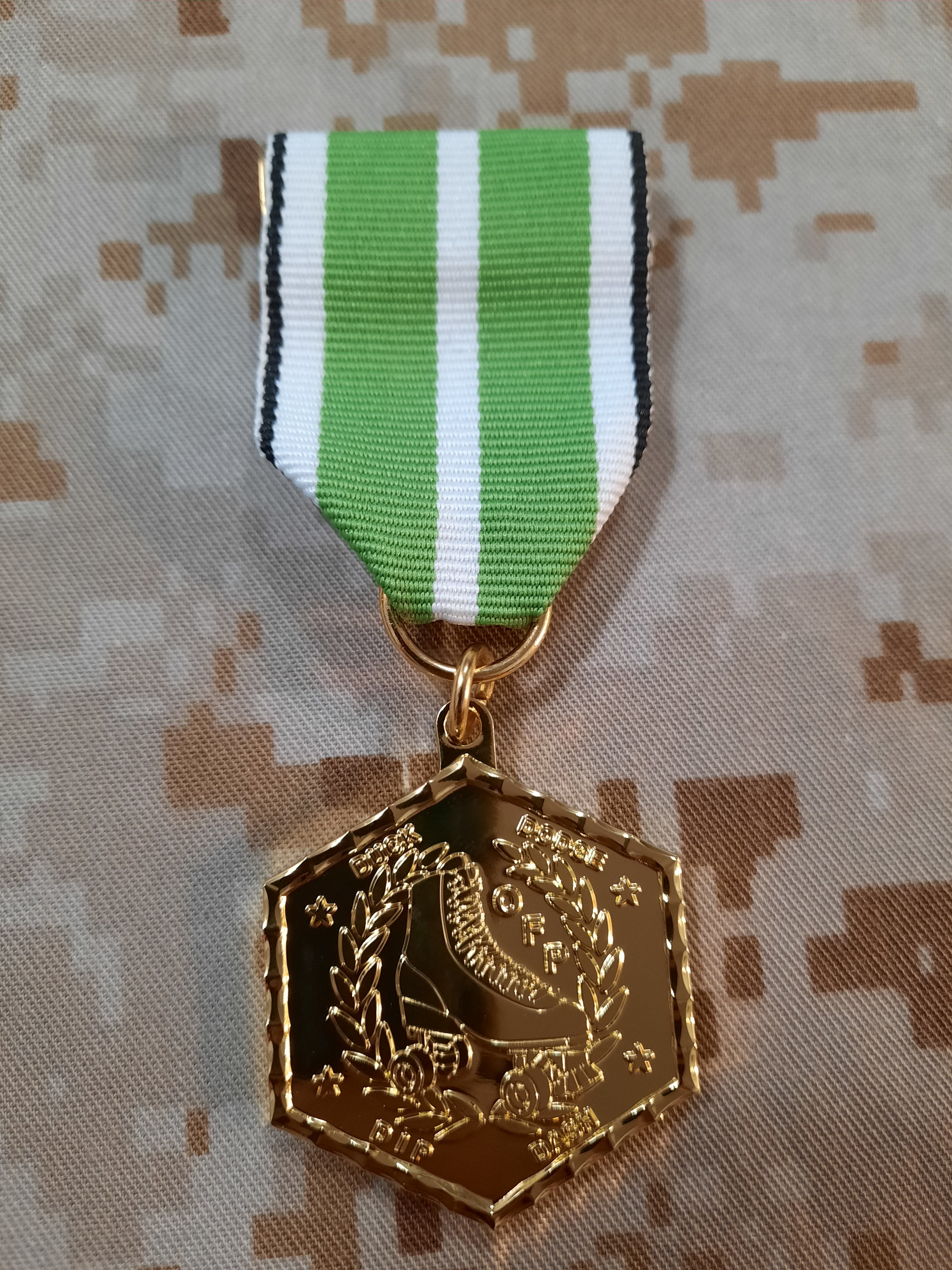 SKATE CHAMP AWARD